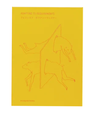 adapting to requirements